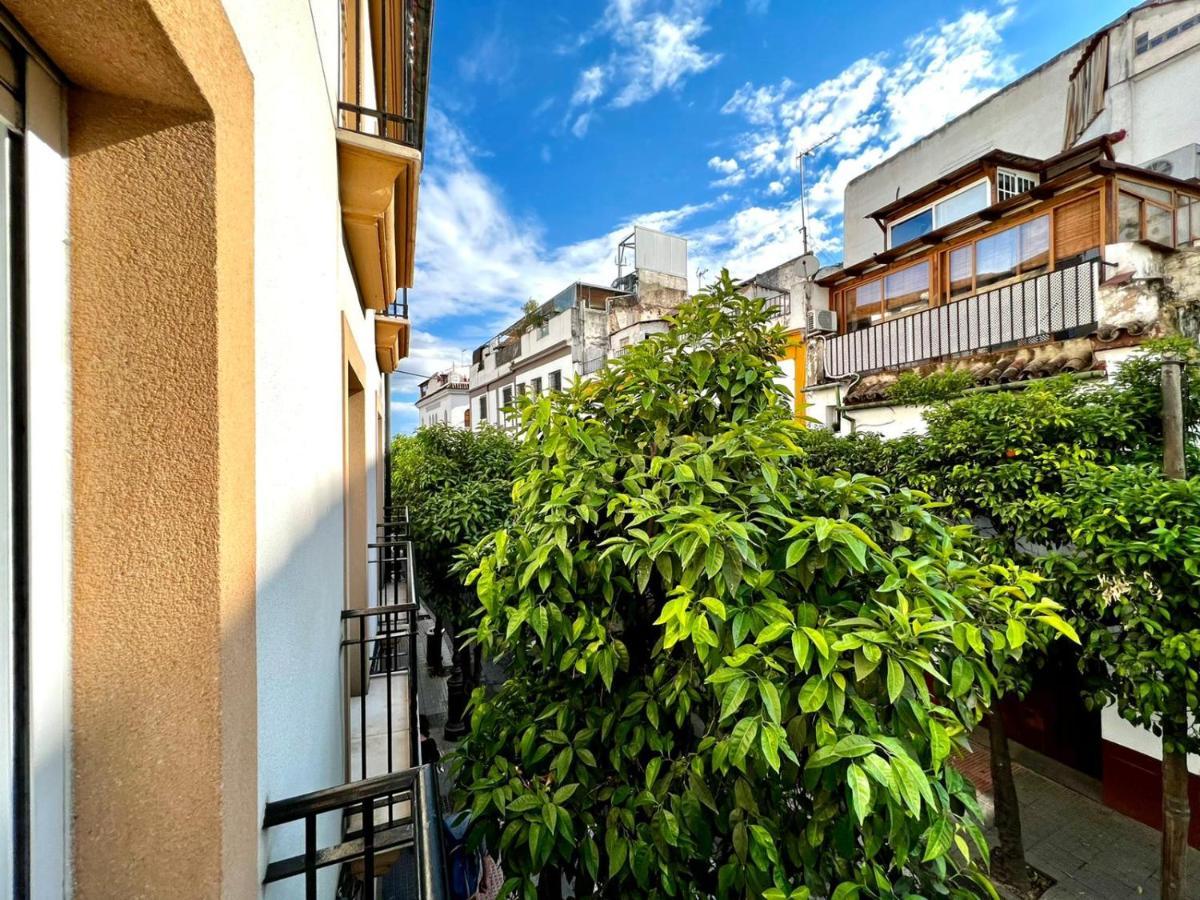 San Fernando De La Ribera Apartment Cordoba Ngoại thất bức ảnh